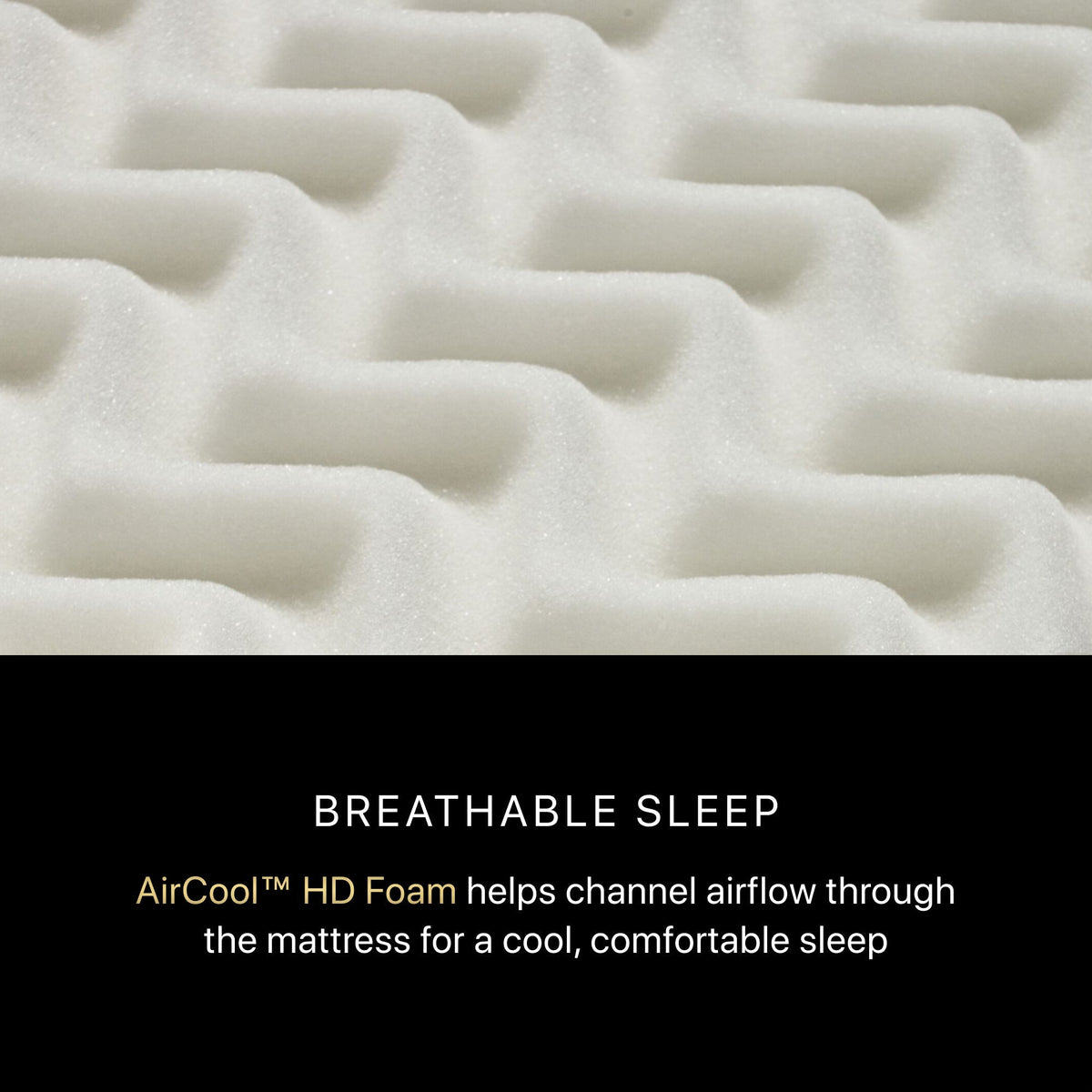 Beautyrest Black Series One Plush Pillow Top Mattress