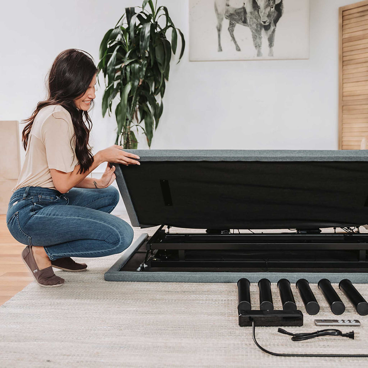 BedTech BTX4 Adjustable Base