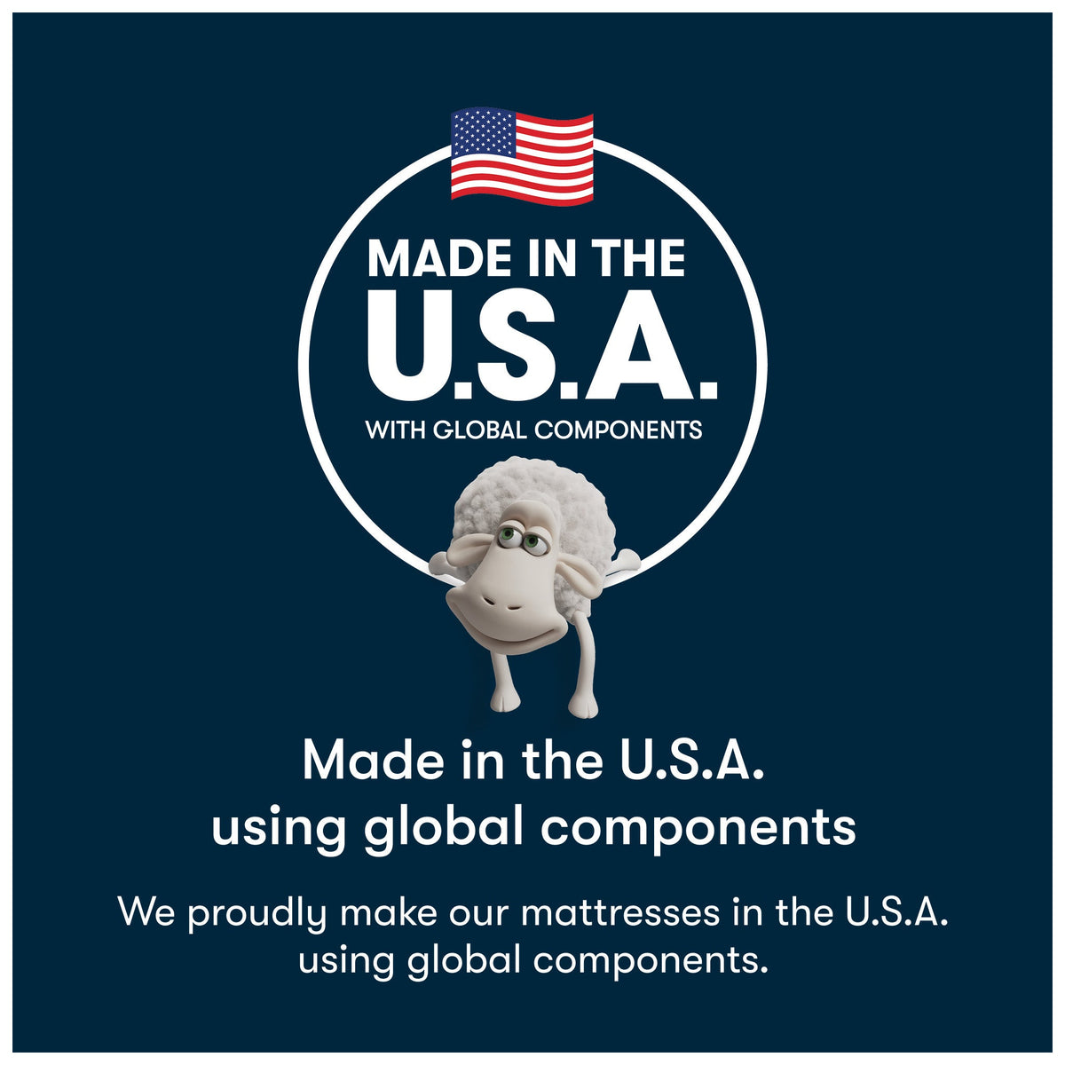 Made in the USA Image