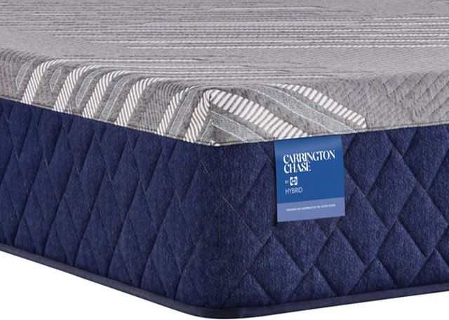ornatehome.com: Sealy® Carrington Chase Spring Midnight Cove Innerspring Firm Tight Top Mattress
