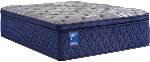 ornatehome.com: Sealy® Carrington Chase Spring Pacific Rest Innerspring Soft Euro Pillow Top Mattress
