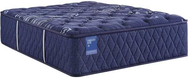 ornatehome.com: Sealy® Carrington Chase Spring Travelers Rest Innerspring Extra Firm Tight Top Mattress