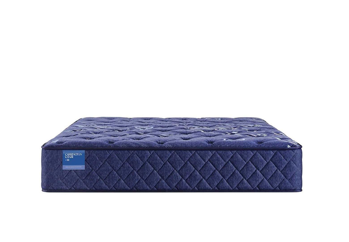 ornatehome.com: Sealy® Carrington Chase Spring Travelers Rest Innerspring Extra Firm Tight Top Mattress
