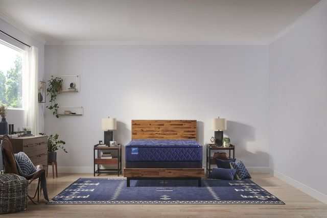 ornatehome.com: Sealy® Carrington Chase Spring Travelers Rest Innerspring Extra Firm Tight Top Mattress
