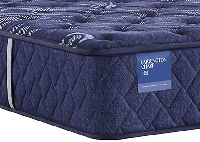 ornatehome.com: Sealy® Carrington Chase Spring Travelers Rest Innerspring Extra Firm Tight Top Mattress