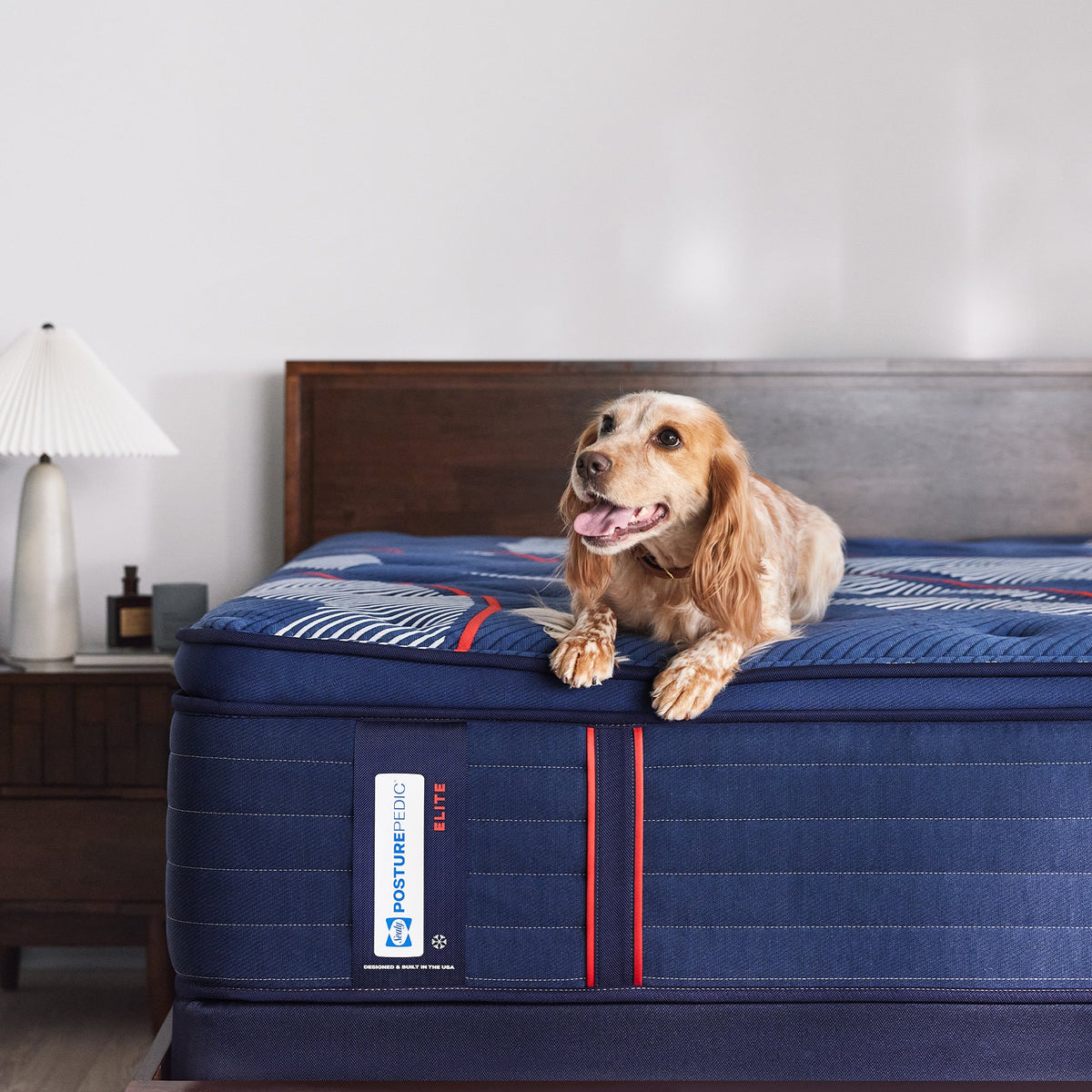 sitnsleep.com: Sealy Posturepedic Elite Spring Albany2 Soft Euro Pillow Top