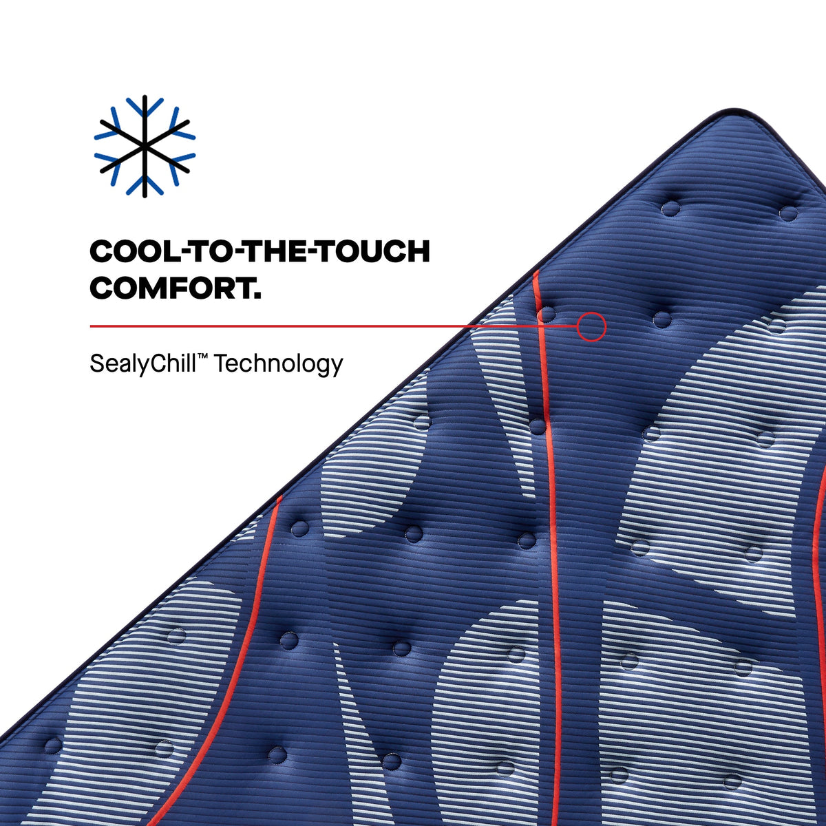 sitnsleep.com: Sealy Posturepedic Elite Spring Albany2 Soft Euro Pillow Top