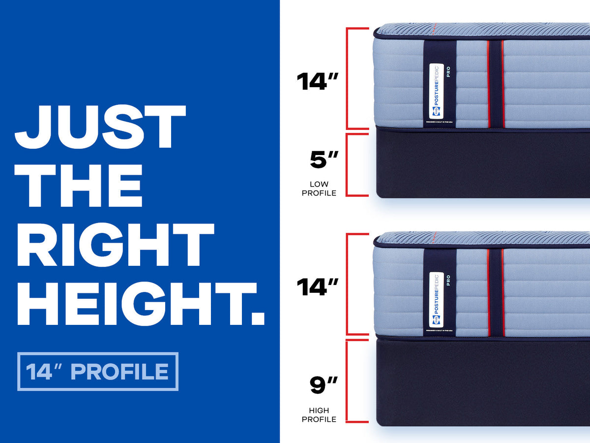 bedplanet.com: Sealy Posturepedic Pro Spring Dupont II 14" Medium Tight Top Mattress