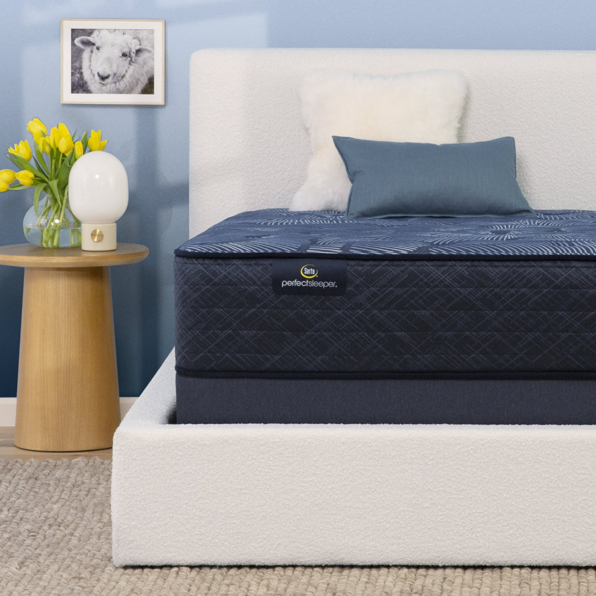 www.serta.com