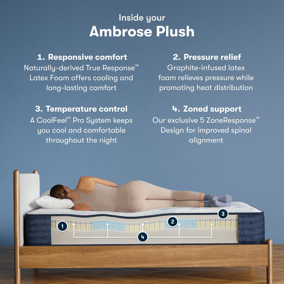 Build_L2AmbrosePlush