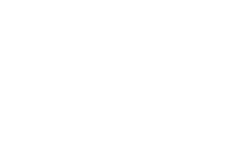 Tempur-Pedic